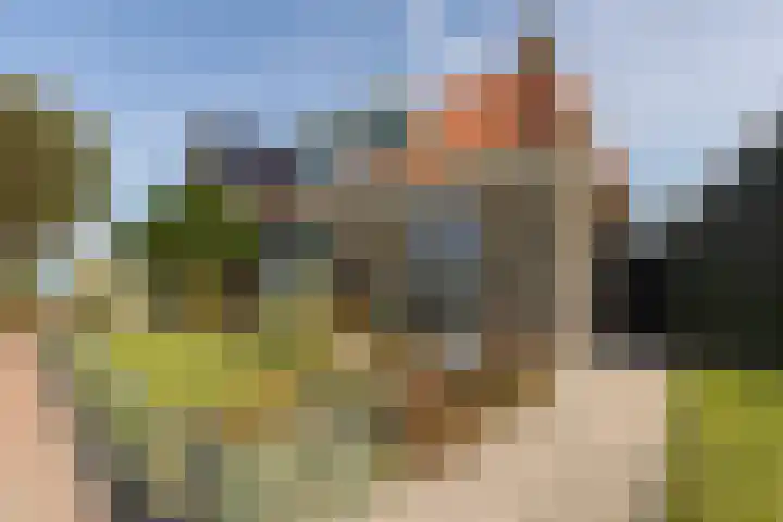 Buren 32 Longerhouw thumbnail 36