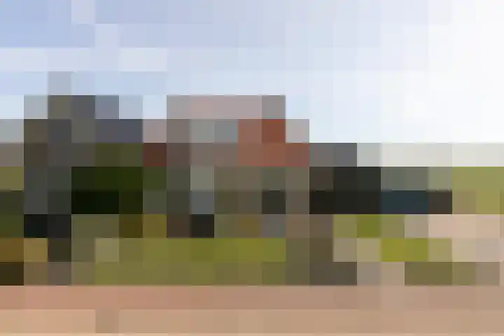 Buren 32 Longerhouw thumbnail 37