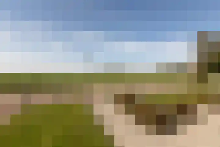 Buren 32 Longerhouw thumbnail 38