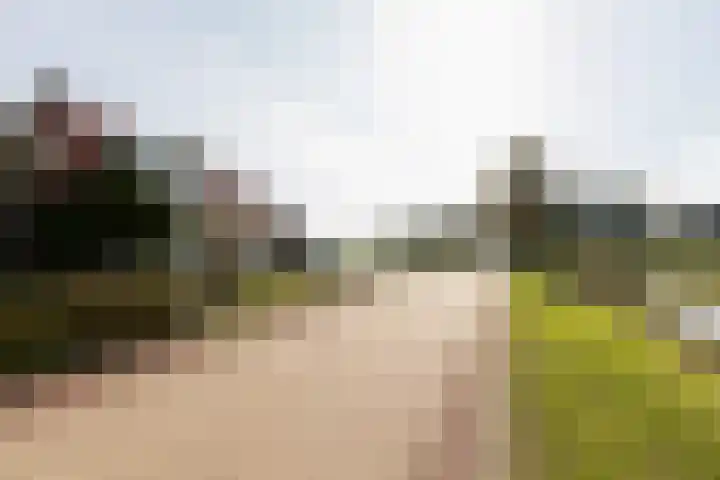 Buren 32 Longerhouw thumbnail 39