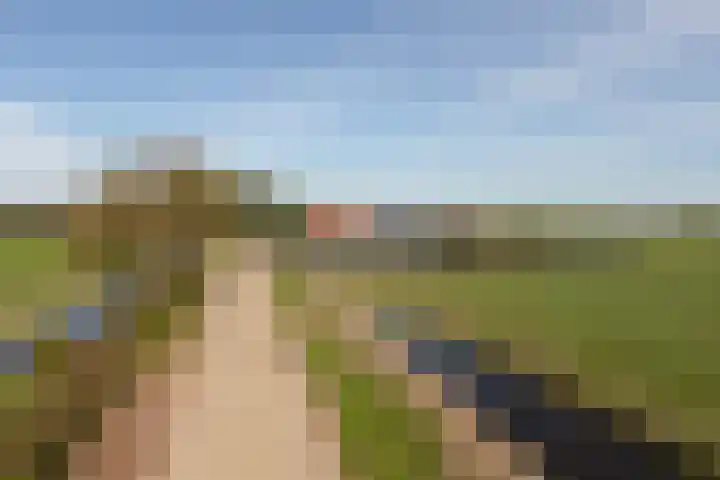 Buren 32 Longerhouw thumbnail 40