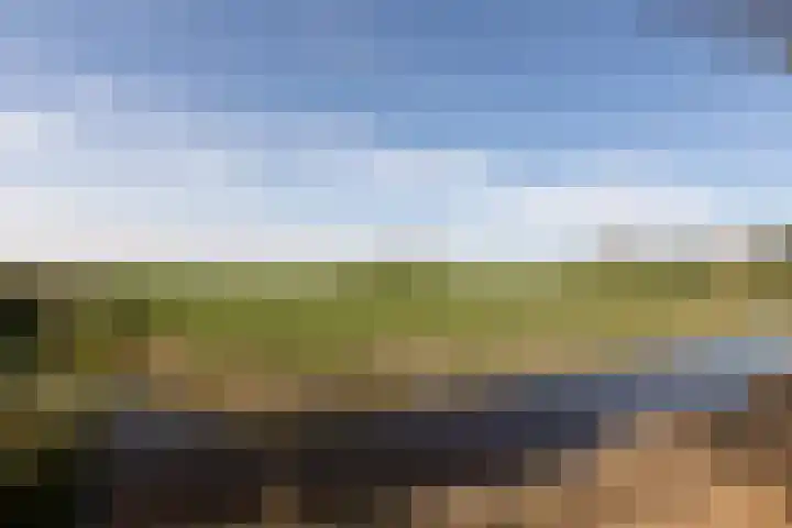 Buren 32 Longerhouw thumbnail 41
