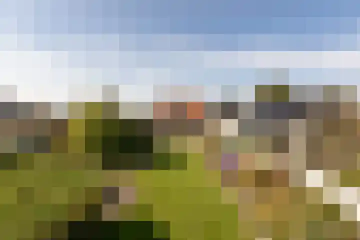 Buren 32 Longerhouw thumbnail 5