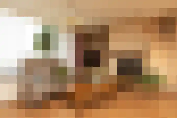 Buren 32 Longerhouw thumbnail 8