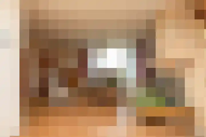 Buren 32 Longerhouw thumbnail 9