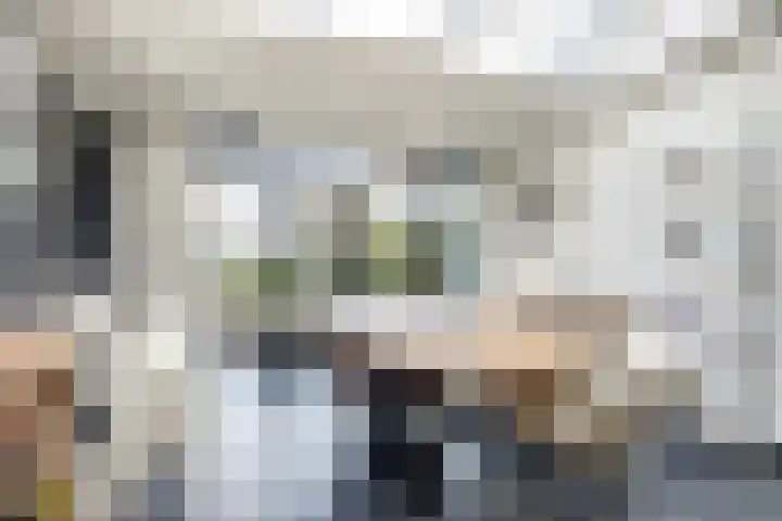 Buren 34 Longerhouw thumbnail 10