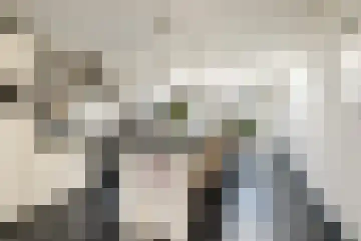Buren 34 Longerhouw thumbnail 12