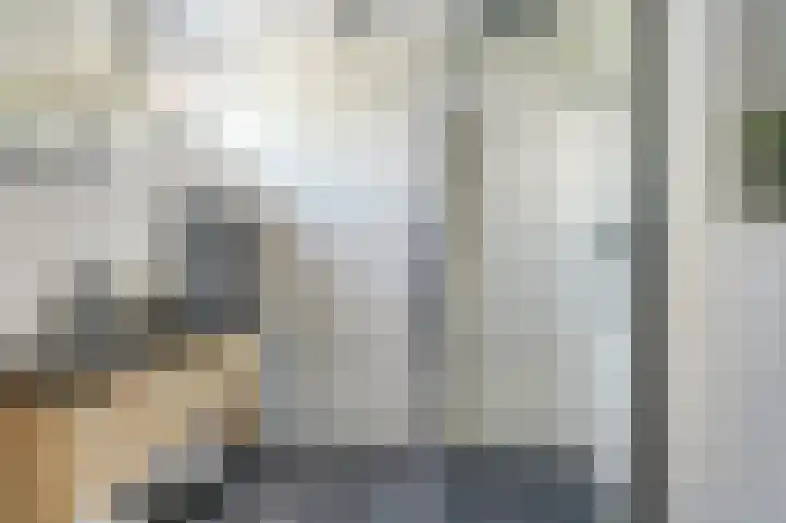 Buren 34 Longerhouw thumbnail 14