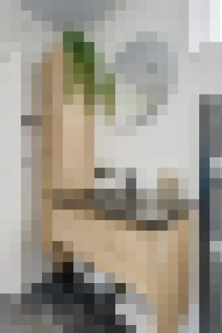 Buren 34 Longerhouw thumbnail 15