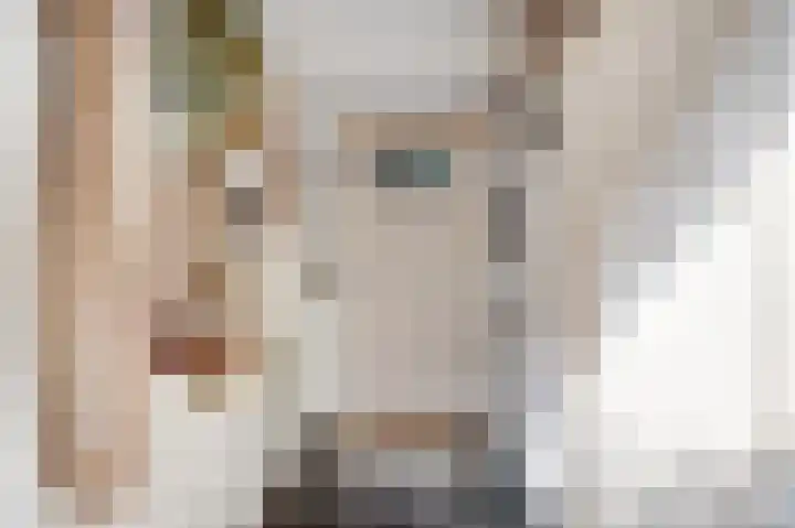 Buren 34 Longerhouw thumbnail 17