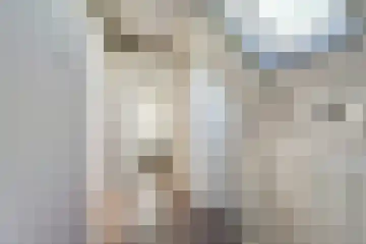 Buren 34 Longerhouw thumbnail 21