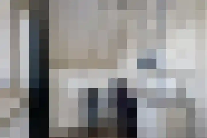 Buren 34 Longerhouw thumbnail 24