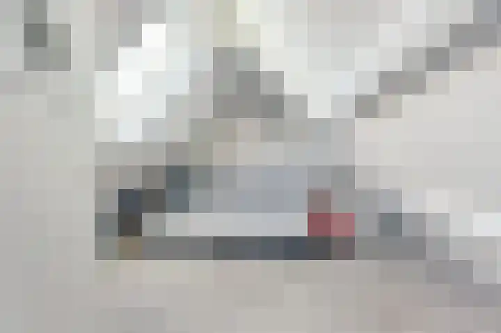 Buren 34 Longerhouw thumbnail 25