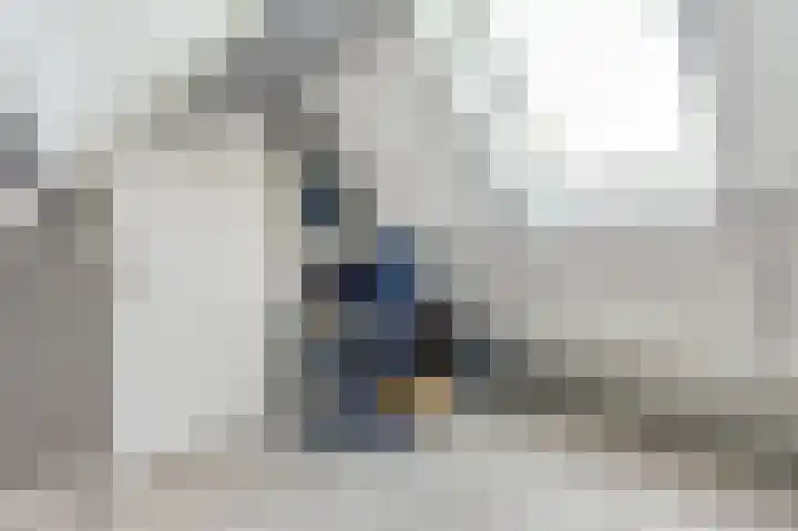 Buren 34 Longerhouw thumbnail 26