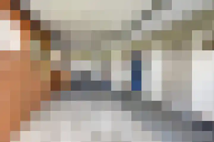 Buren 34 Longerhouw thumbnail 27