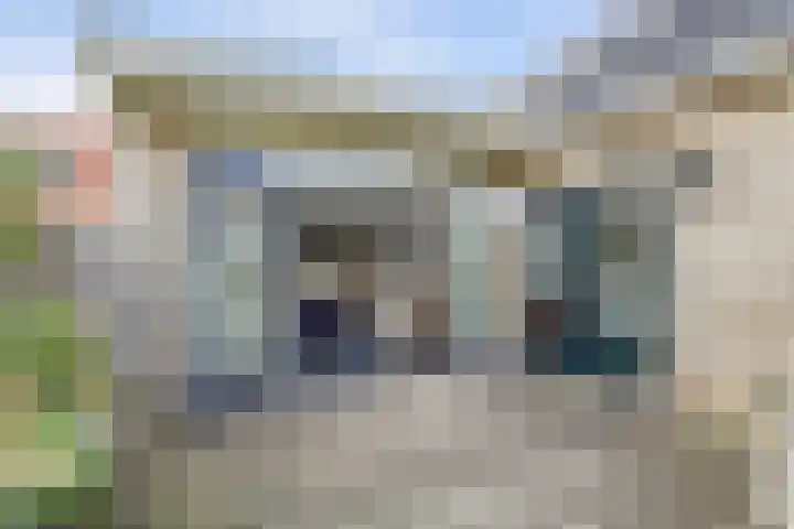 Buren 34 Longerhouw thumbnail 29