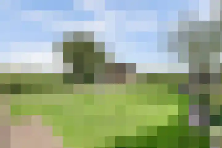 Buren 34 Longerhouw thumbnail 30