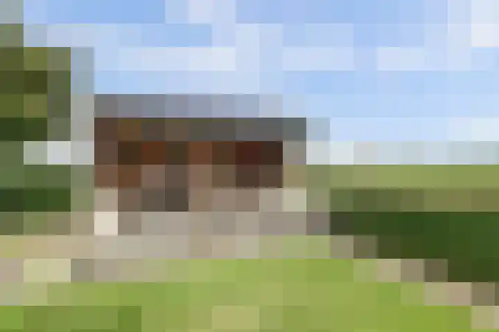 Buren 34 Longerhouw thumbnail 31