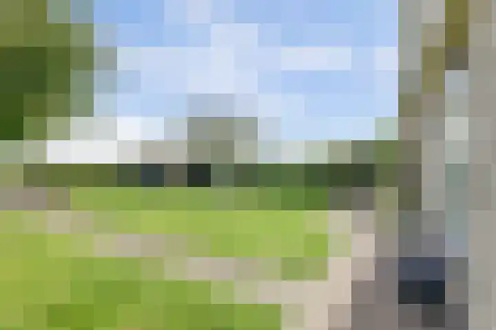 Buren 34 Longerhouw thumbnail 32