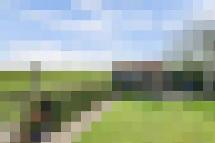 Buren 34 Longerhouw thumbnail 33