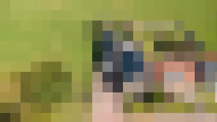 Buren 34 Longerhouw thumbnail 34