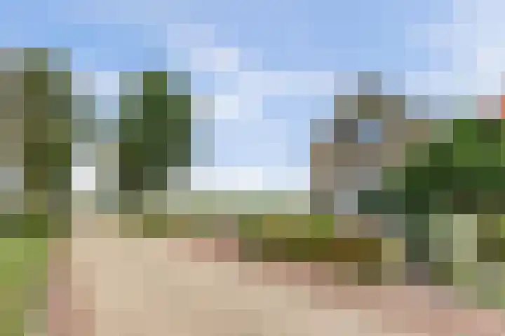 Buren 34 Longerhouw thumbnail 35