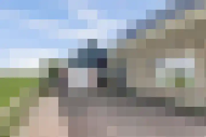 Buren 34 Longerhouw thumbnail 37