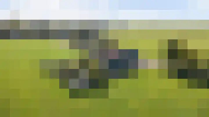 Buren 34 Longerhouw thumbnail 39