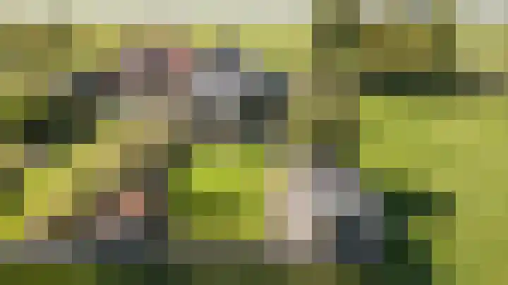 Buren 34 Longerhouw thumbnail 4