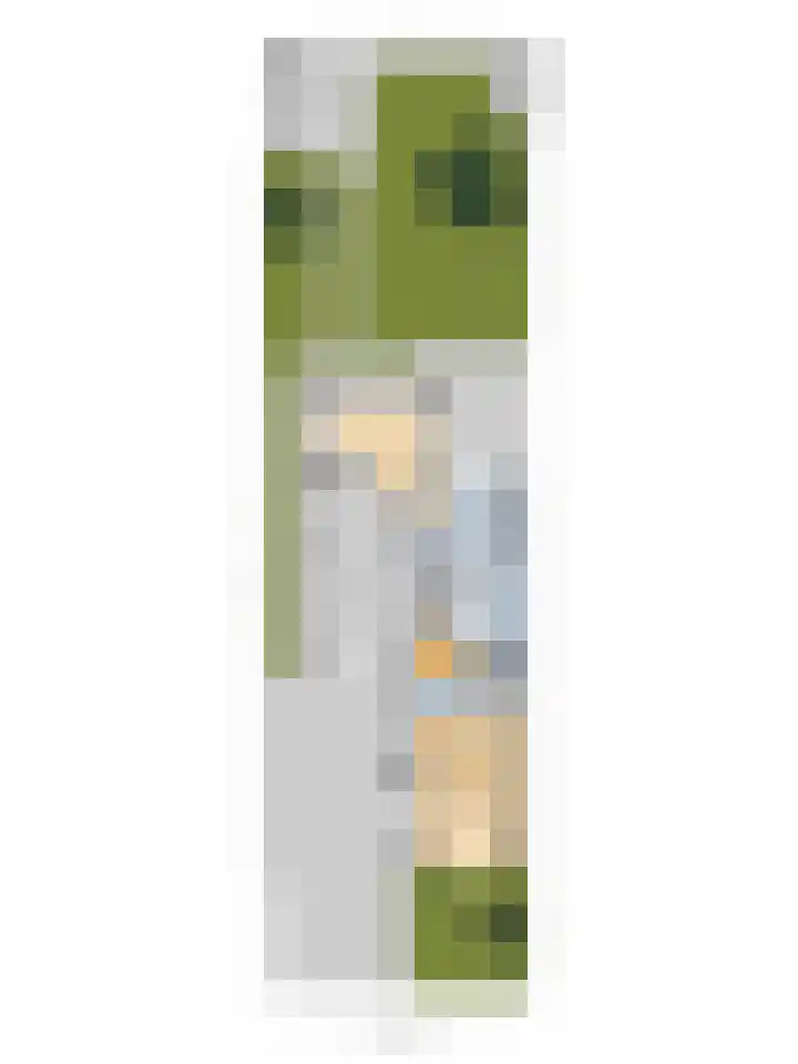 Buren 34 Longerhouw thumbnail 41