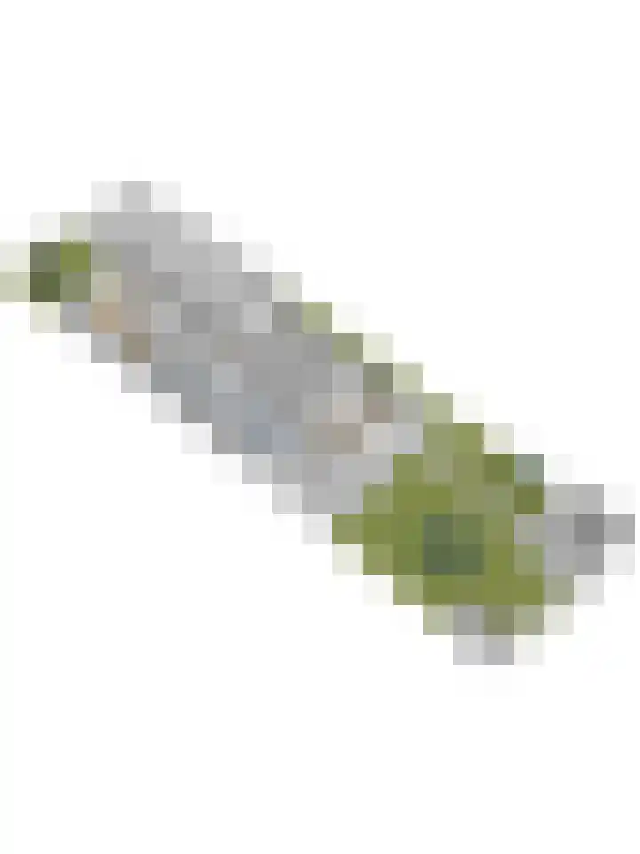 Buren 34 Longerhouw thumbnail 42