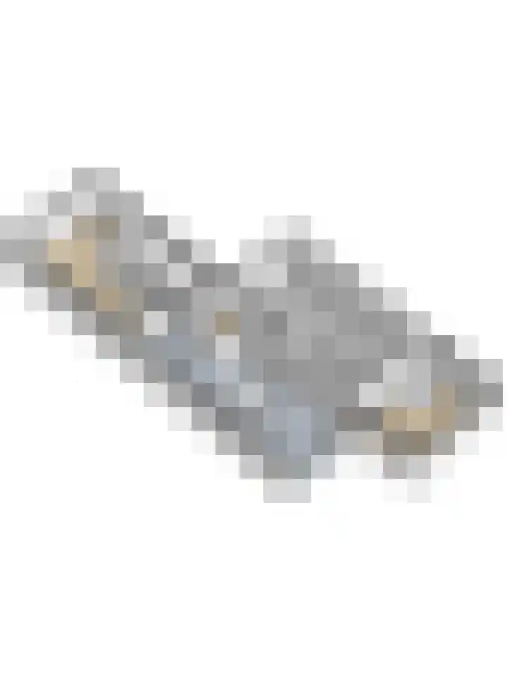Buren 34 Longerhouw thumbnail 44