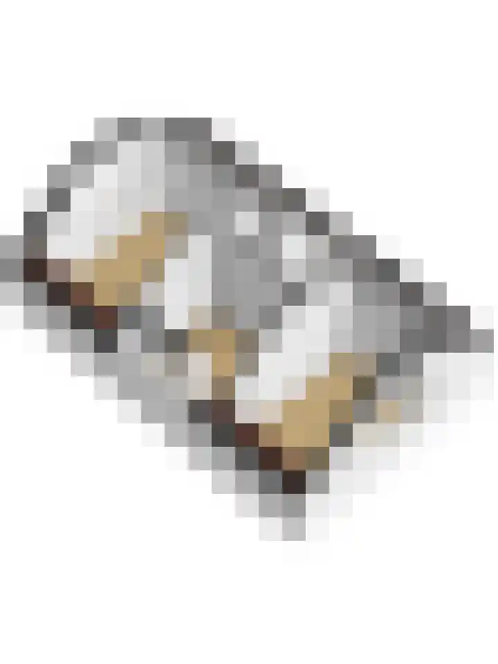 Buren 34 Longerhouw thumbnail 46