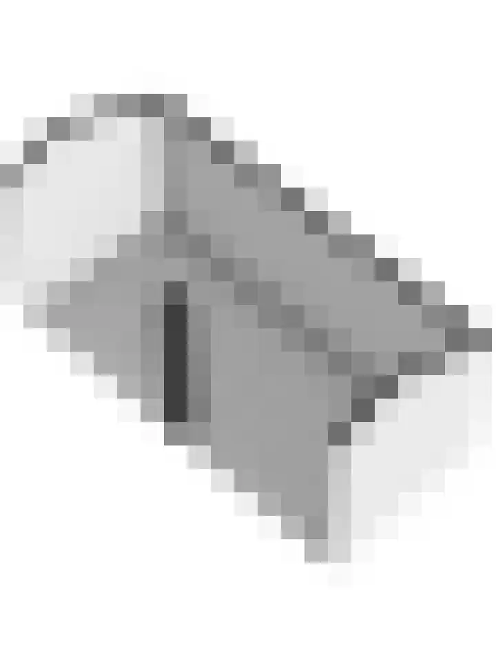 Buren 34 Longerhouw thumbnail 50