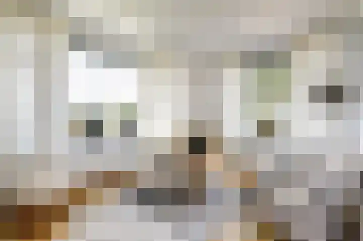 Buren 34 Longerhouw thumbnail 6