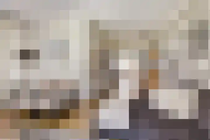 Buren 34 Longerhouw thumbnail 8