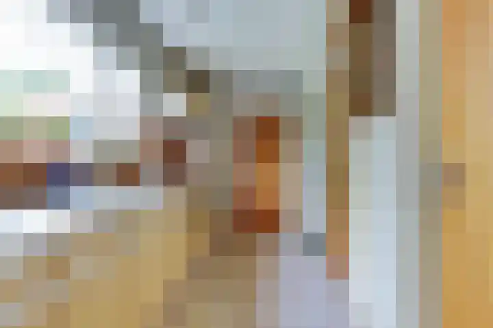 Buren 4 Ferwoude thumbnail 13