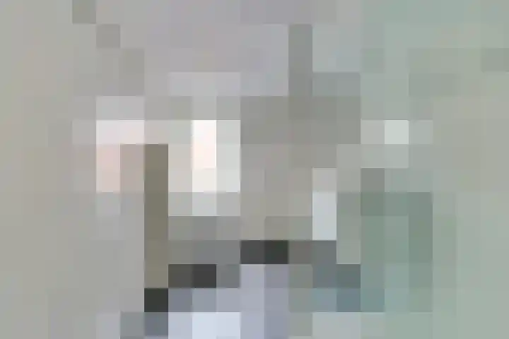 Buren 4 Ferwoude thumbnail 18