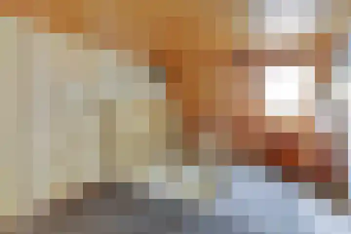 Buren 4 Ferwoude thumbnail 20