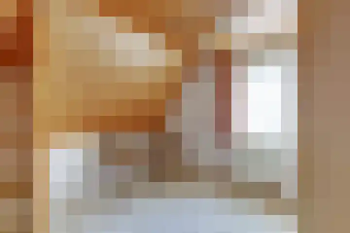 Buren 4 Ferwoude thumbnail 21
