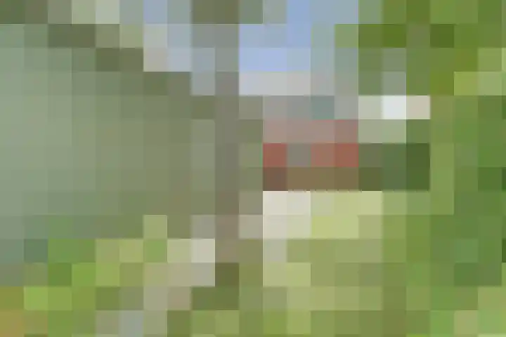 Buren 4 Ferwoude thumbnail 23