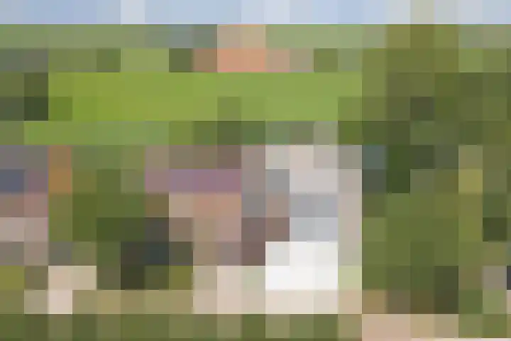 Buren 4 Ferwoude thumbnail 25