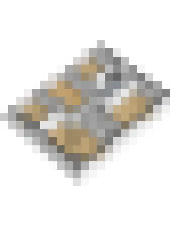 Buren 4 Ferwoude thumbnail 30