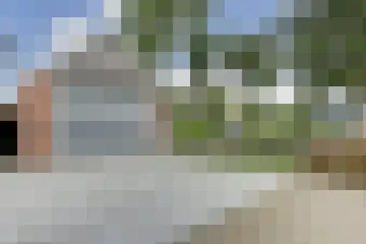 Buren 4 Ferwoude thumbnail 7