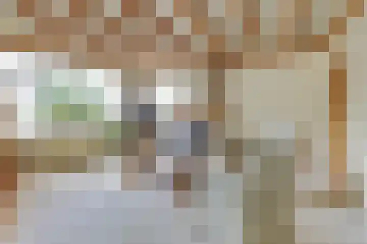Buren 4 Ferwoude thumbnail 9