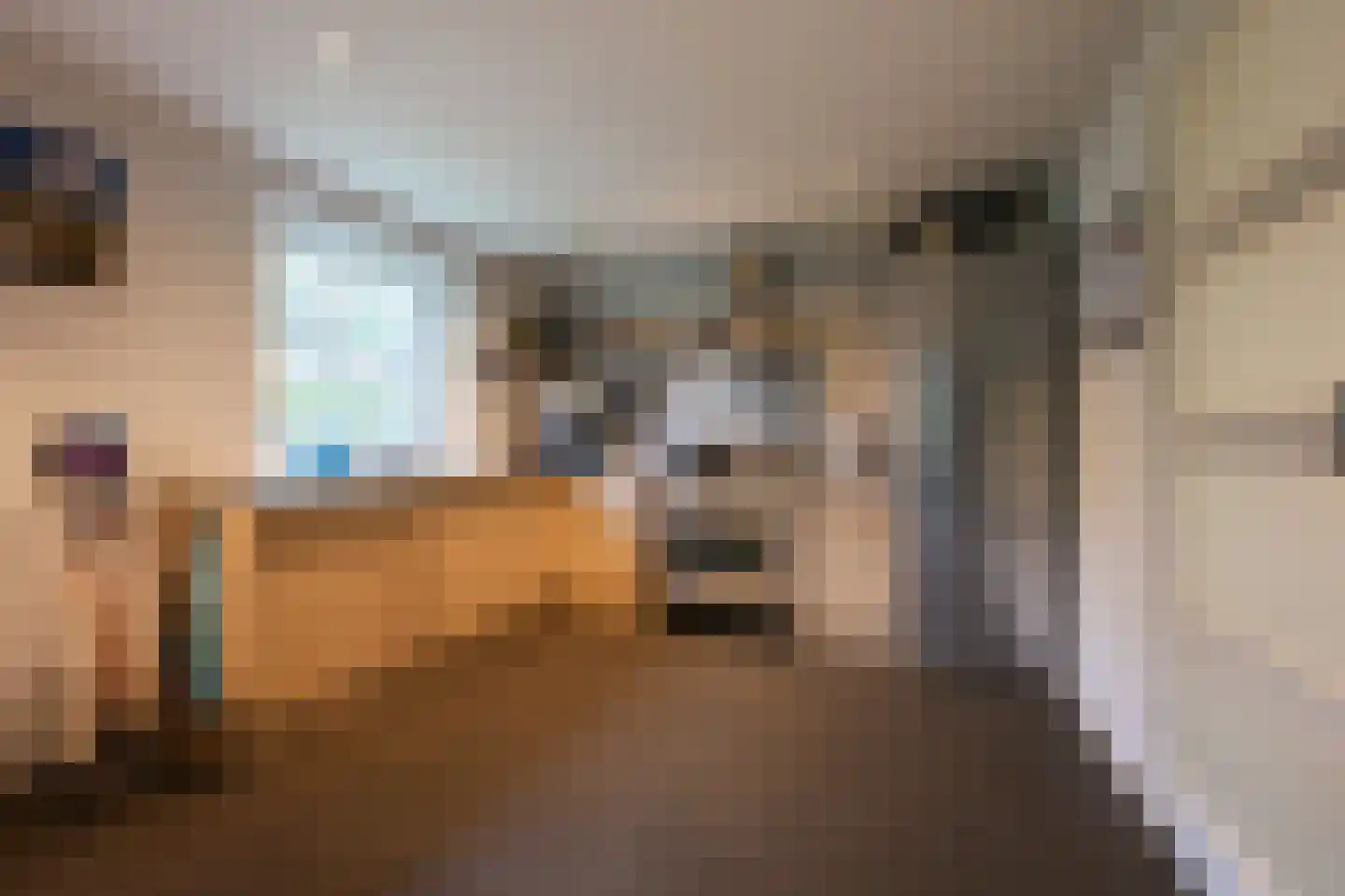 Burenlaan 12 Hollum thumbnail 4