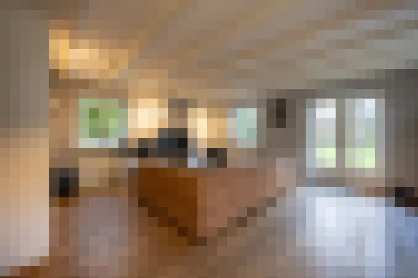 Burenlaan 12 Hollum thumbnail 6
