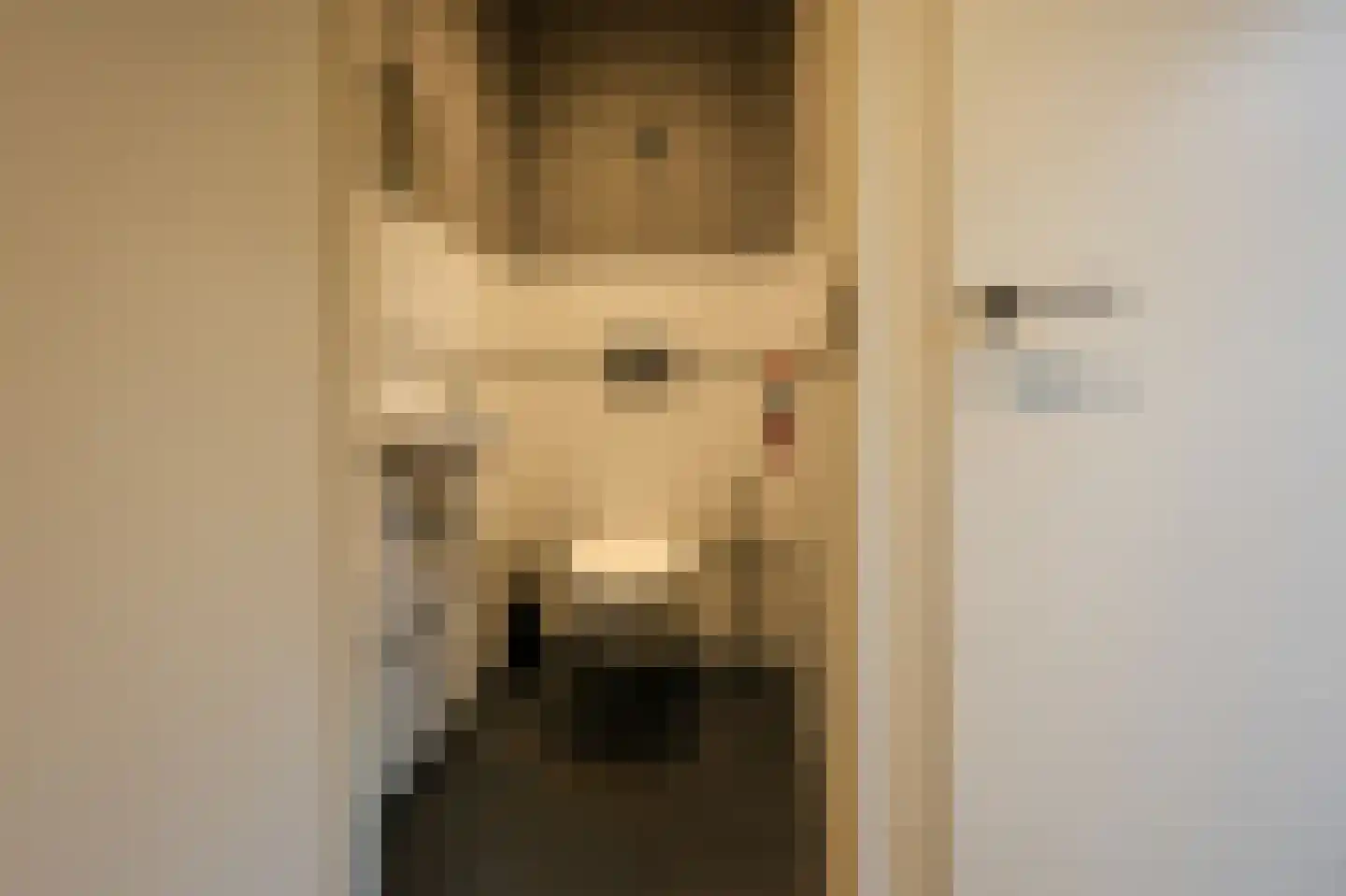 Burenlaan 12 Hollum thumbnail 8