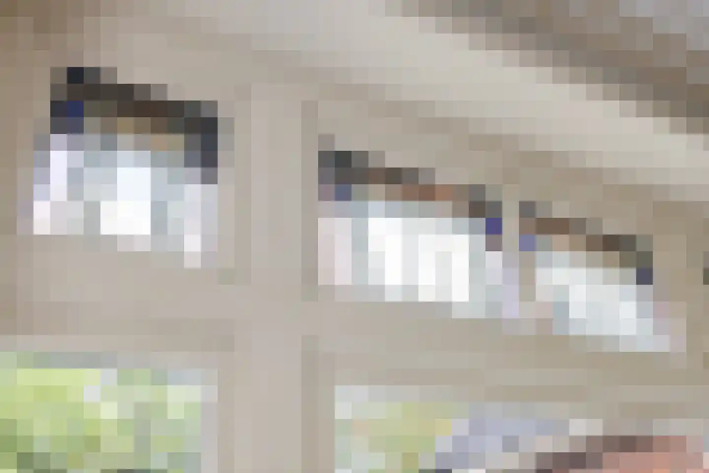 Burenlaan 32 Pingjum thumbnail 11
