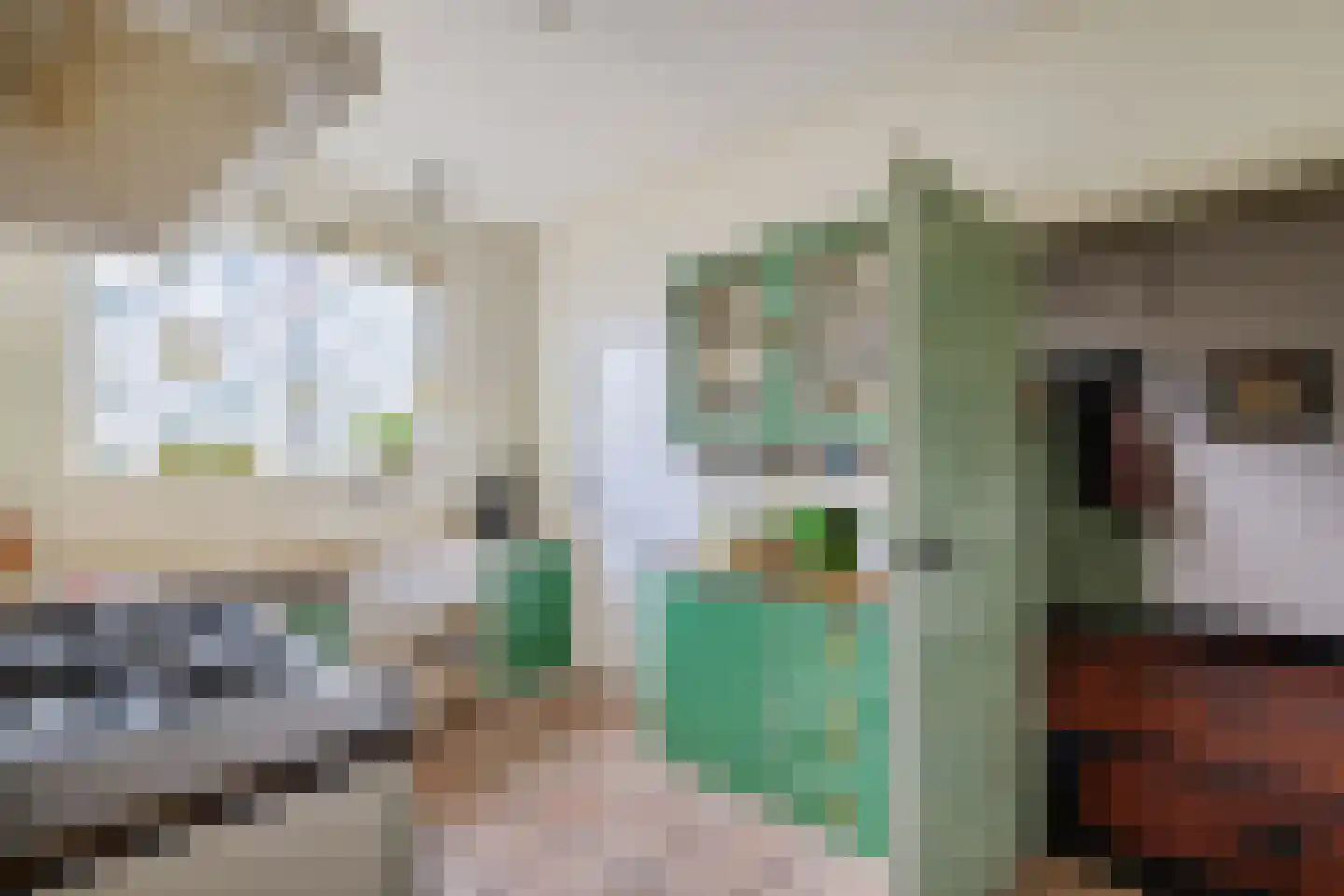 Burenlaan 32 Pingjum thumbnail 20